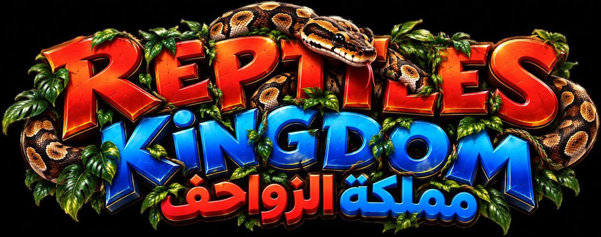 Reptiles kingdom 